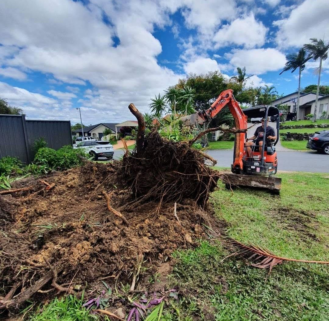 Uprooted tree stump on a grassed verge, with an orange mini excavator behind