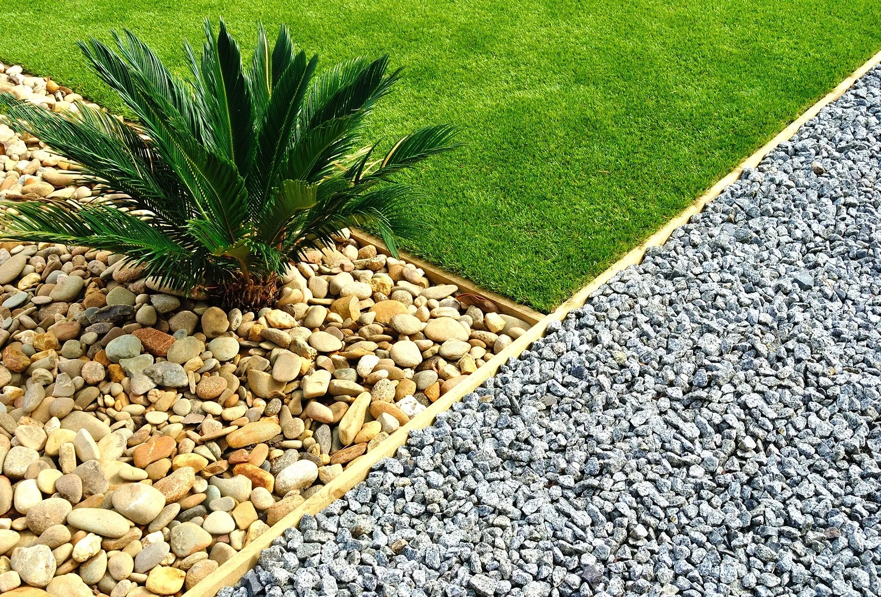 Garden bed of river pebbles and grey gravel beside a lawn, with a palm-like plant