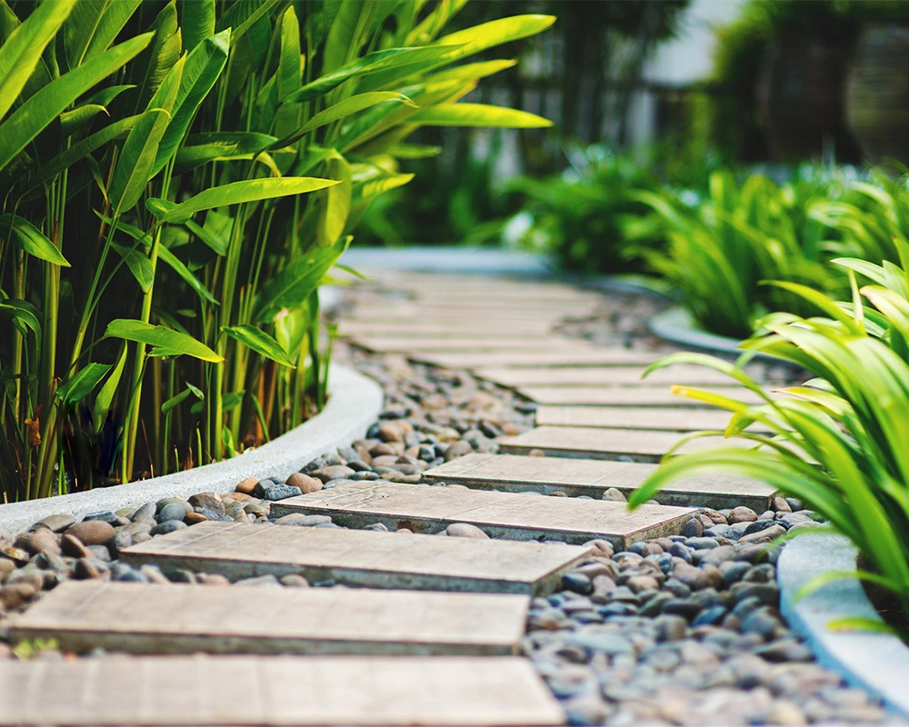 Garden path of stepping pavers through pebbles and leafy plants